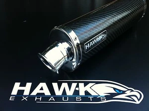 Silenciador de lata de escape ovalada de carbono Kawasaki ZRX 1200 - Imagen 1 de 1