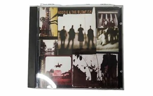 vintage atlantic 1994 hootie and the blowfish "cracked rearview" cd. - Imagen 1 de 2