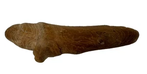 Antique Garden Dibble Primitive Rustic Cypress Root Garden - Picture 1 of 6