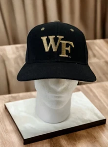Wake Forest Zephyr DHS Hat Size 7 Demon Deacons Fitted Cap Wool Blend Vintage - Picture 1 of 9
