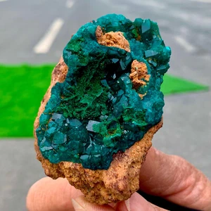 113G Natural green dioptase emerandine gemstone cluster mineral specimen - Afbeelding 1 van 21