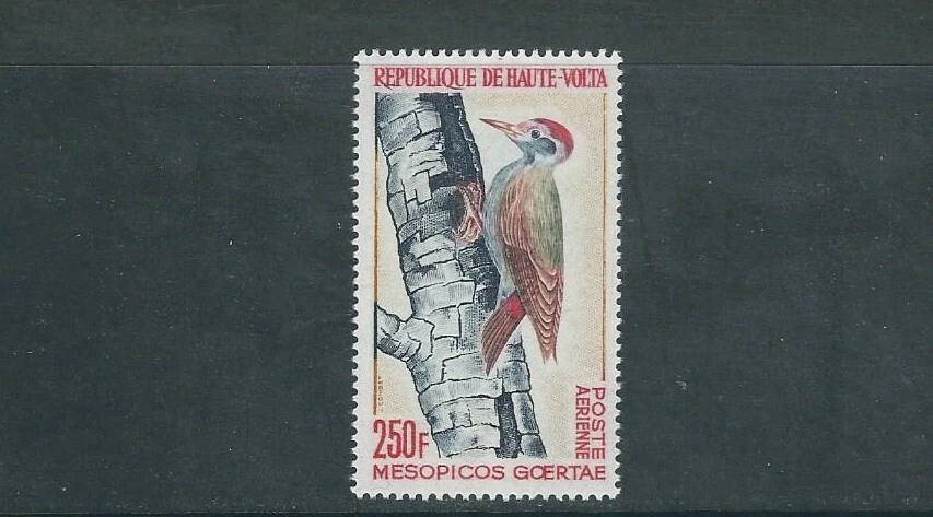 UPPER VOLTA 1964 BIRD THEME complete (ScottC18) VF MLH fresh - Image 1 of 1