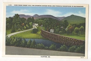 View from Forest Hill Inn, Ravens Wing Mtn CLAYTON GA - Vintage Georgia Postcard - Picture 1 of 2