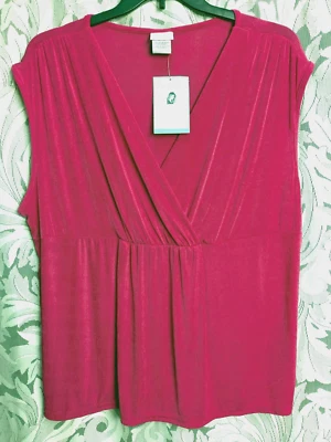 1X 0X XL JACLYN SMITH PINK SLINKY KNIT GATHER FRONT SURPLICE EMPIRE WAIST TOP - Image 1 of 4