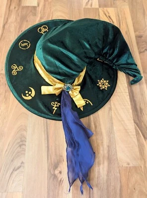 Disney Hocus Pocus Adult Winifred Sanderson Sister Halloween Costume Witch Hat  - Image 1 of 4