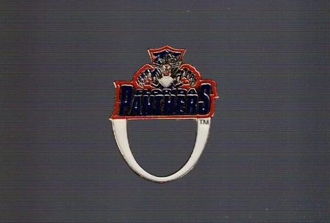 Florida Panthers logo  "Loop style / Glasses"  NHL Hockey pin Cover