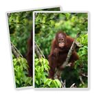 2x Vertical Vinyl Stickers Baby Orangutan Indonesia Monkey #50168