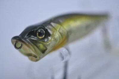 96 Megabass Pop-X  64mm 1/4oz Topwater GG Shad Very Good+ - Image 1 of 4