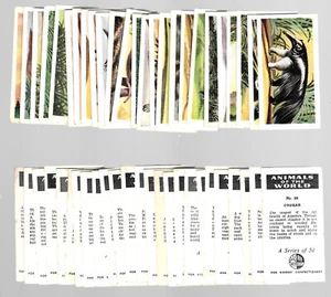 CIGARETTE/TRADE/CARDS. Dryfood. Anmals of The World. (Full Set of 50). (1955). - Picture 1 of 1