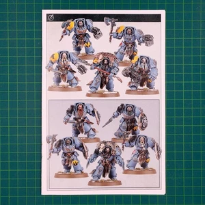 Wolfsgarde Terminatoren Space Wolves Einzel Figuren Warhammer 40.000 - Picture 1 of 25