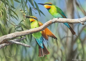 Rompecabezas QPuzzles 1000 piezas - Captura del día Rainbow Bee Eaters - Imagen 1 de 1