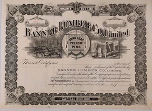1890s Banner Lumber Co., Ltd Stock Certificate Unissued Home Of Britney Spears - Picture 1 of 2