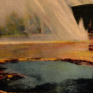 Vintage Postcard Linen Daisy Geyser Yellowstone National Park Wyoming WY - Picture 1 of 3