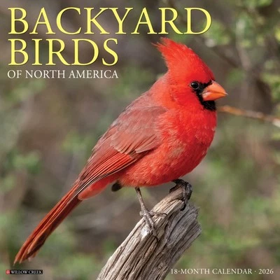 Backyard Birds 2026 12" x 12" Wall Calendar (free shipping) - Image 1 of 4