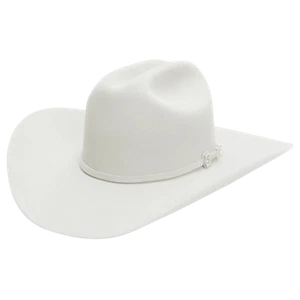 Stetson Cowboyhut silbergrau 6x Skyline Filz - Bild 1 von 6