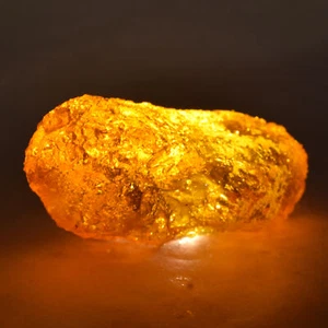 Precious Orange Amber Rough Uncut CERTIFIED 67.50 Ct Natural Raw Loose Gemstone - Picture 1 of 12