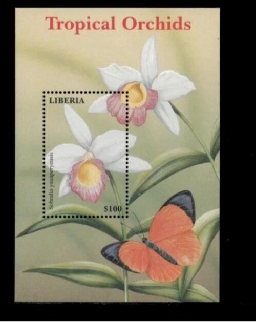 Liberia 2001 - Flowers Orchids - Souvenir Stamp Sheet - MNH - Image 1 of 1