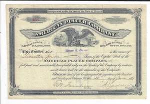 IDAHO 1889 American Placer Company Stock Certificate - Picture 1 of 2