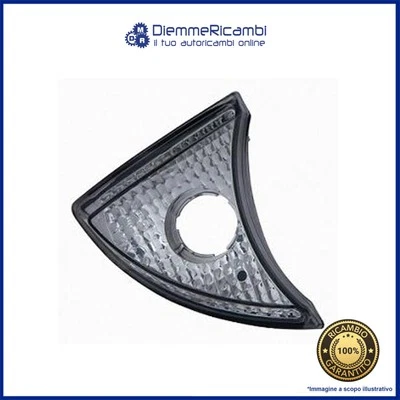 Vordere Rechte Blinker - DX - Für Iveco Stralis 2002 - Bild 1 von 2