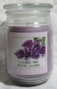 Ashland Scented Candle NEW 17 oz Large Jar Single Wick Spring LAVENDER MINT - Photo 1 sur 4