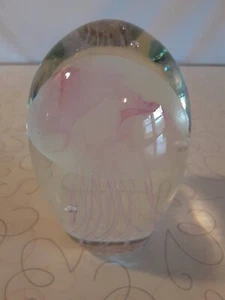 Kunst Glas Qualle Briefbeschwerer Pink Dynasty Gallery 4" - Bild 1 von 3