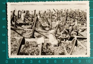 Photo Sea Factory Anchors Women's 1940 - 50 C. (F 37) - Picture 1 of 2