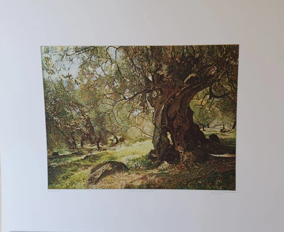 Radierung "Olivenbäume III" Günther Hermann (1984-2020) - Bild 1 von 1