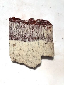 3 1/2” Alunite Slab Rough Lapidary Cabbing Sulfate Mineral - rhyolite byproduct - Picture 1 of 8