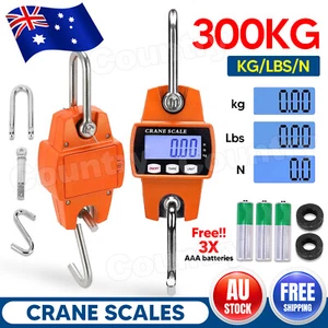 Mini Crane Scale Portable LCD Digital Electronic Hook Hanging Scale 300kg 0.05kg - Picture 1 of 11