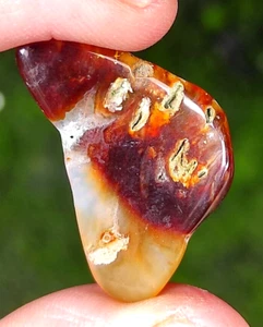 2g Natural Red Agate Fire Carnelian  Mineral specimen healing - Picture 1 of 8