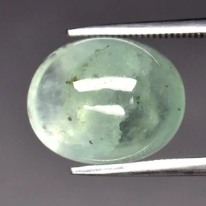 💎 Cabochon ovale 7,89 ct 13,3 x 11 mm prehnite verde naturale - pietra preziosa Africa - Foto 1 di 4
