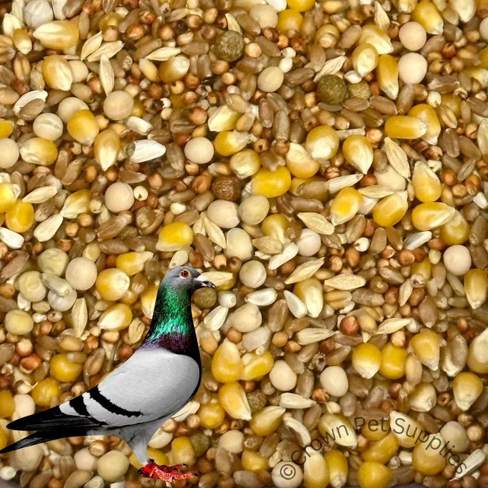 Pigeon Mix Feed 12 % Protein For Pigeons Dove Birds Reusable Bags BULK SALE - Image 1 of 2