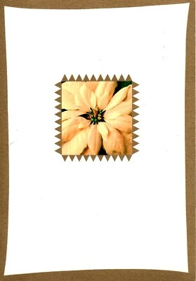 White & Gold Poinsettia Poinsettias Christmas Hallmark Greeting Cards Set of 13 - Image 1 of 3