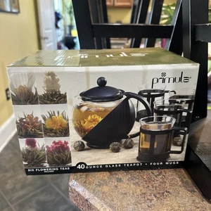 Primula Teiera Vetro 4 Tazze Nero Supporto Manici Infusore *No Tè Incluso NUOVO - Foto 1 di 7