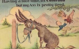 Linen Comic Postcard - Nice Time in Colorado, but My Ass is Tired - Picture 1 of 2