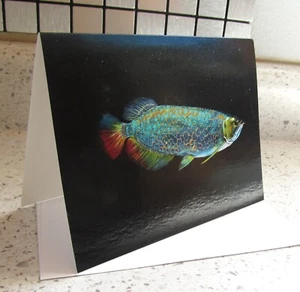 5 New Art Cards "Blue Base Golden Arowana" Fish by artist Dodie Mitchell - Bild 1 von 6