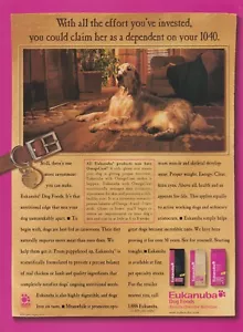 2001 Eukanuba Dog Food - "Claim Her As Dependent" Setter Spaniel -Print Ad Photo - Picture 1 of 1