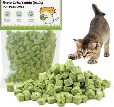 Cat Grass Treats for Cat, 60g Natural Dried Snacks for Cats, Edible Cat Chew Toy - image 1 of 4
