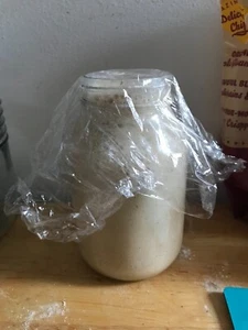 BESTE SPRITZIGE SAURE SAN FRANCISCO SAUERTEIG STARTERHEFE SALLY - Bild 1 von 13