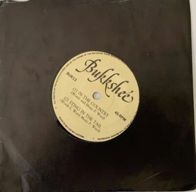 Bukkshee ‎– In The Country / Sting In The Tail Vinyl Record - Image 1 of 4