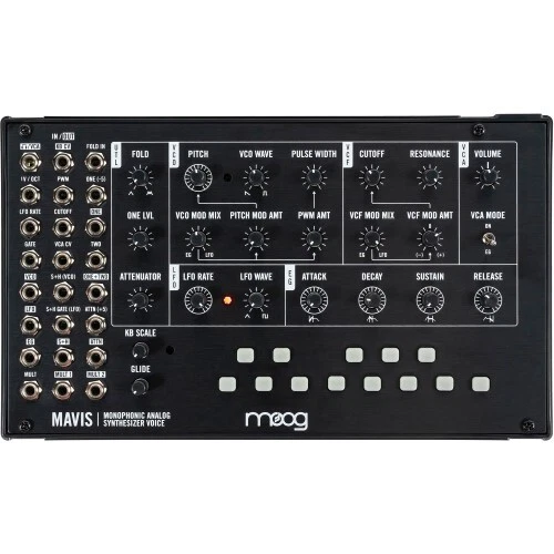Moog Mavis | Neu