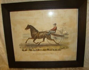 Antique Trotting Horse Astell interunnia Record 2:19 Race Harness Racing RARE - Picture 1 of 6