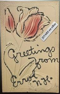 1900s ERROL, NH, PINK TULIP EMBOSSED GLITTER AIRBRUSHED GREETINGS FROM POSTCARD - Picture 1 of 2