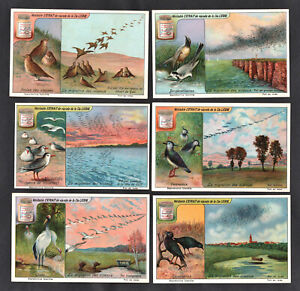 Bird Migration Rare French Card Set Liebig 1921 Oiseaux Stork Starling Lapwing
