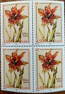 Stamps France-Tulipa Lutea 4,50F / ,69E Block of 4- 2000 (J43324) - Picture 1 of 3