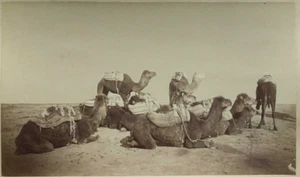 Vintage Antique Photographs Oasis of Biskra Albumen Algeria c. 1870 - Picture 1 of 8