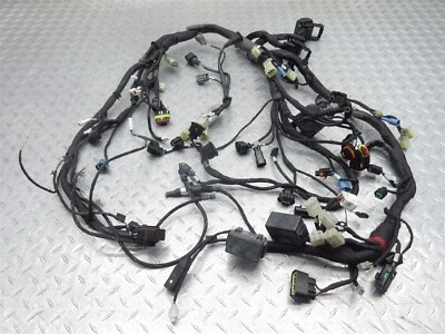 Ducati Multistrada 1200 2016 15-17 motor principal cableado arnés cable telar Foto 1 de 4