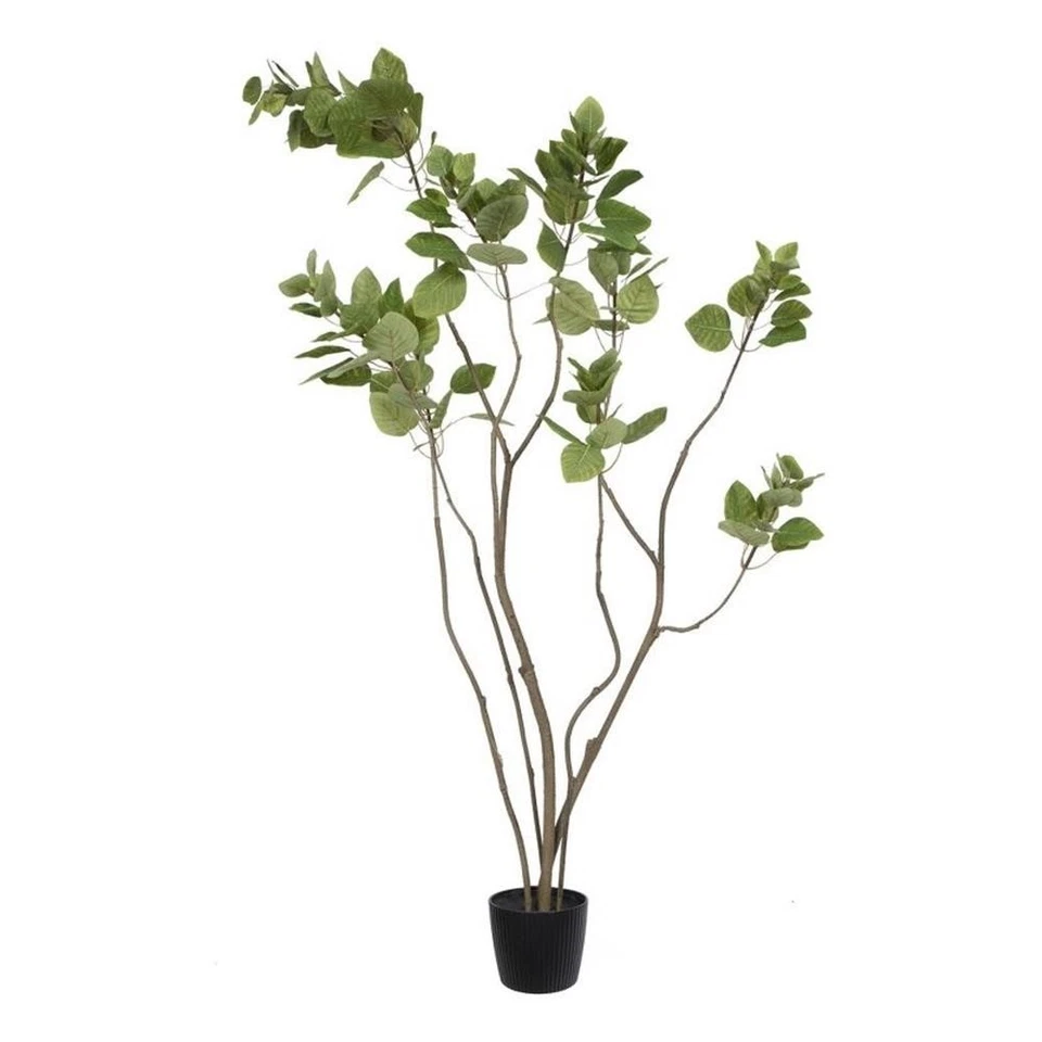 Árbol Cotinus Coggygria en maceta verde artificial Vickerman 4'. Foto 1 de 1