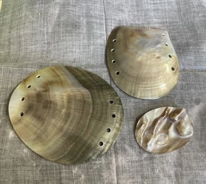 Großer Abalone MOP Muschel Anhänger Basteln Meeresmuscheln SS-37 - Bild 1 von 10