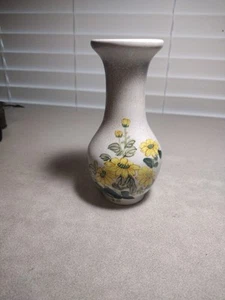 Chinese Hand Painted Floral Vase. Qing Dynasty 1700s, Famille Rose,Porcelain A06 - Picture 1 of 7